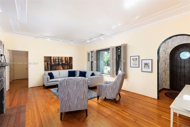 living room featuring ornamental molding, light hardwood / wood-style floors, and rail lighting