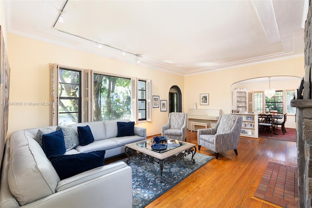 living room featuring rail lighting, crown molding, and wood-type flooring