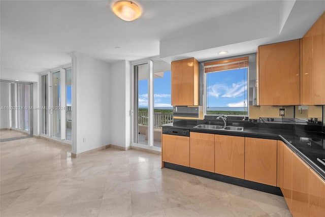 kitchen featuring dishwasher and sink