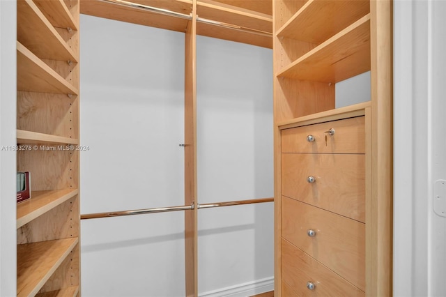 view of walk in closet