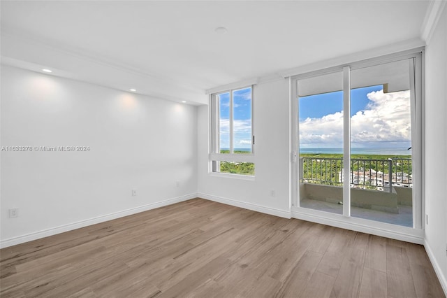 empty room featuring light wood-type flooring