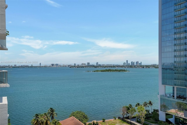 601 NE 27th St Unit 1206, Miami, FL 33137 - water view featuring skyline