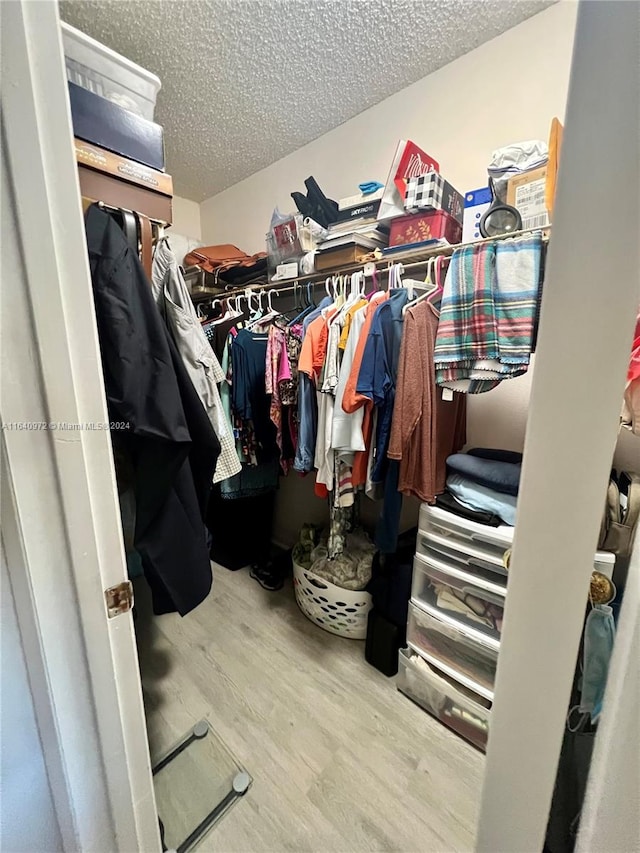 spacious closet with hardwood / wood-style floors