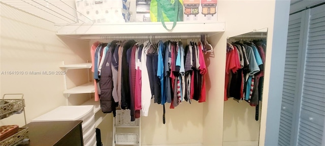 view of spacious closet