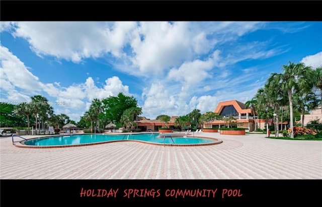 view of swimming pool featuring a patio area