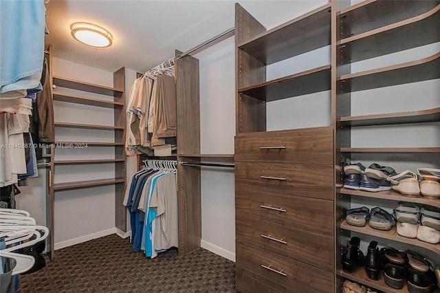 spacious closet with dark colored carpet