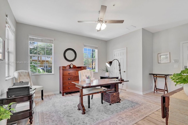 office area with light hardwood / wood-style flooring and ceiling fan