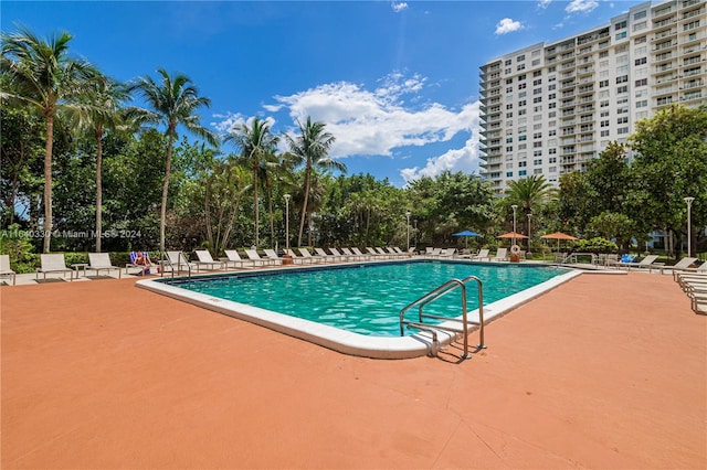 view of pool featuring a patio