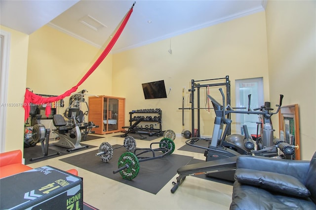 workout area featuring ornamental molding