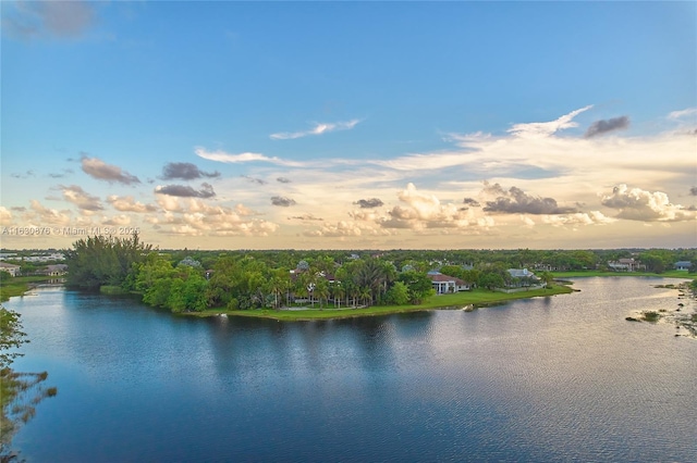 2941 Paddock Ln, Weston, FL 33331 - water view