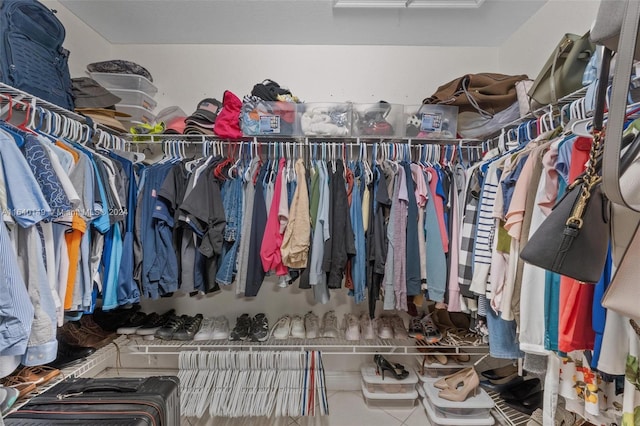 view of spacious closet