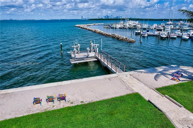 dock area with a water view