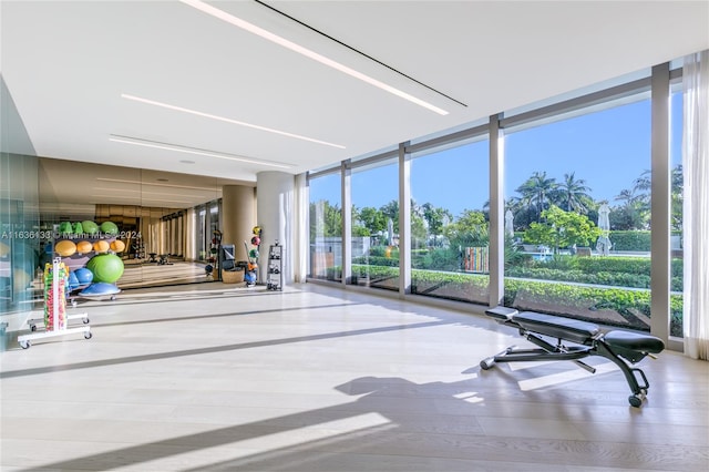 exercise room featuring floor to ceiling windows and light hardwood / wood-style floors