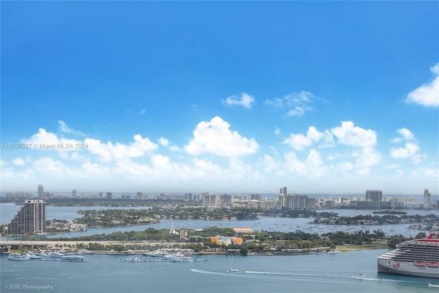 601 NE 1st Ave Unit 2913, Miami, FL 33132 - water view with a city view