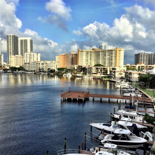 water view featuring a boat dock