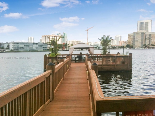 dock area with a water view