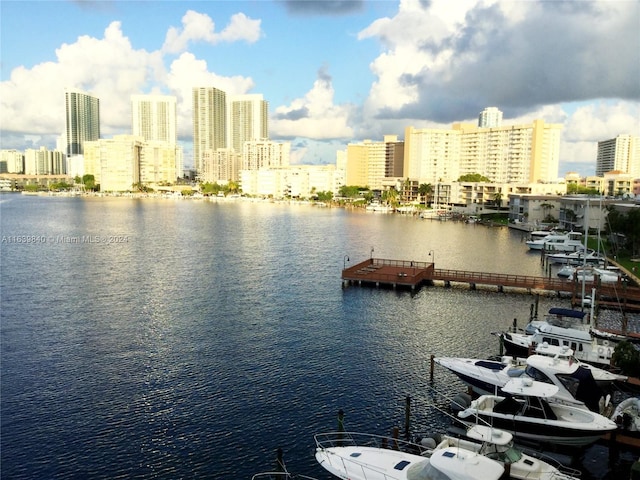 water view with a dock