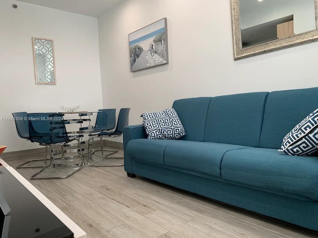 living room with hardwood / wood-style floors