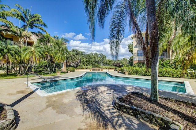 view of pool with a patio area