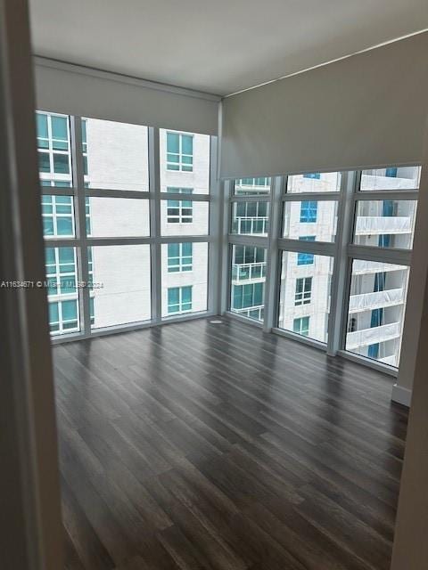 empty room with dark wood-type flooring