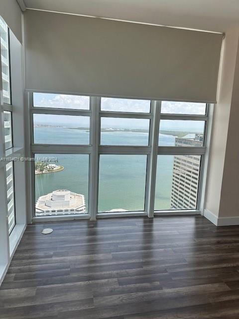 entryway featuring dark wood-type flooring, a water view, and a healthy amount of sunlight