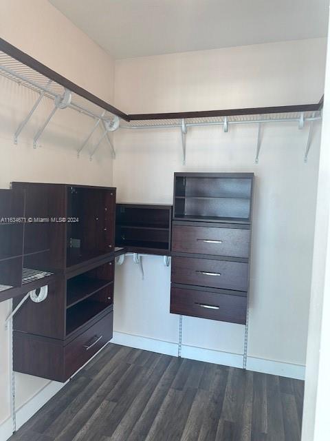 spacious closet with dark hardwood / wood-style floors