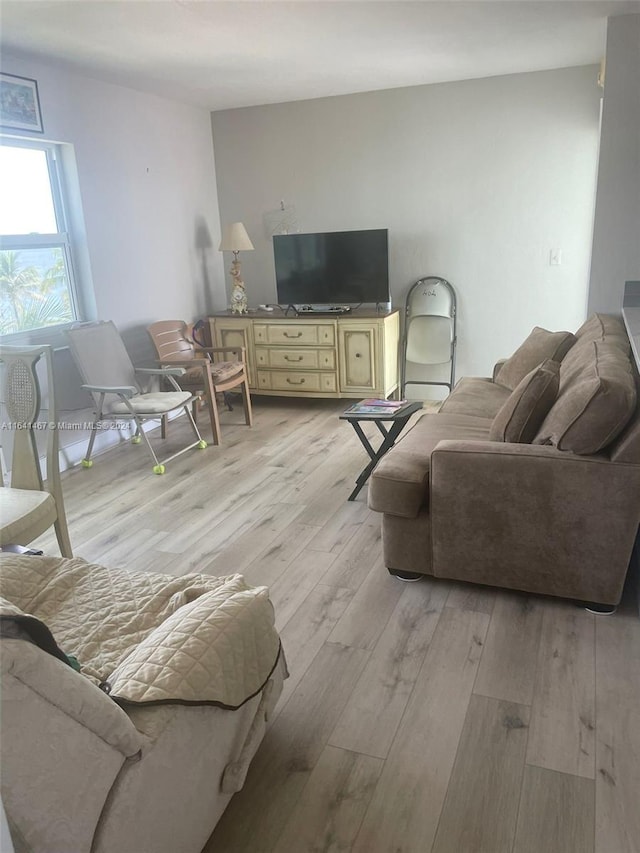 living room featuring light hardwood / wood-style flooring