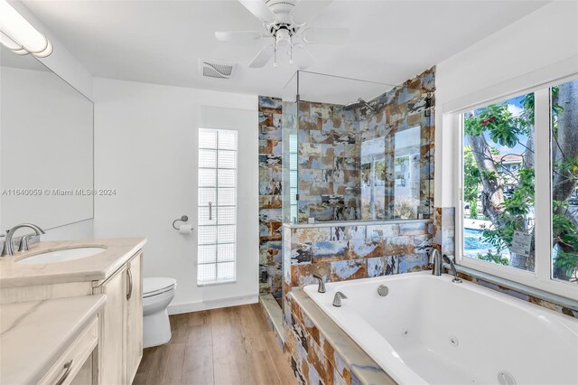 bathroom featuring vanity, toilet, plenty of natural light, and hardwood / wood-style floors