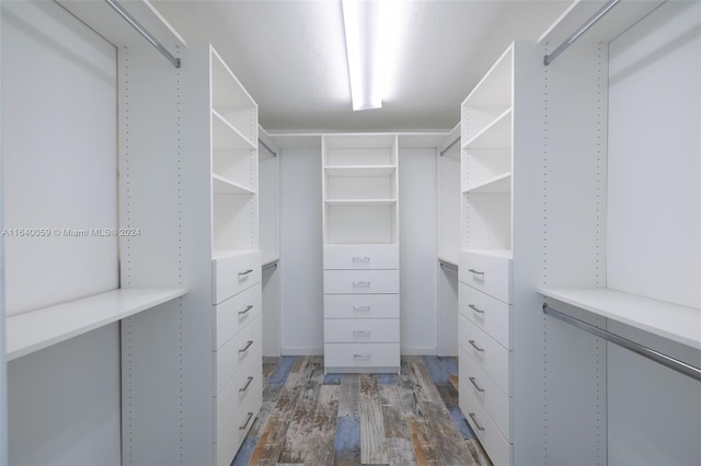 walk in closet with hardwood / wood-style floors