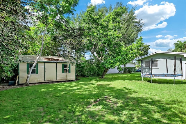 view of yard featuring a trampoline and a shed