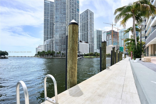 dock area featuring sink and a water view