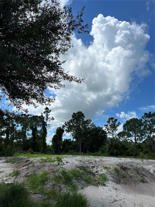 260 Grant Blvd, Lehigh Acres, FL 33974