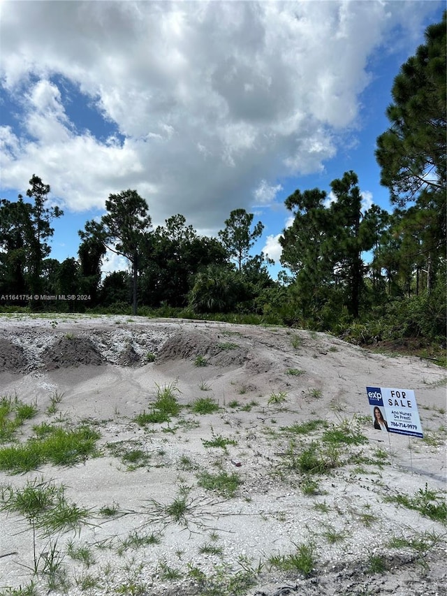 260 Grant Blvd, Lehigh Acres, FL 33974