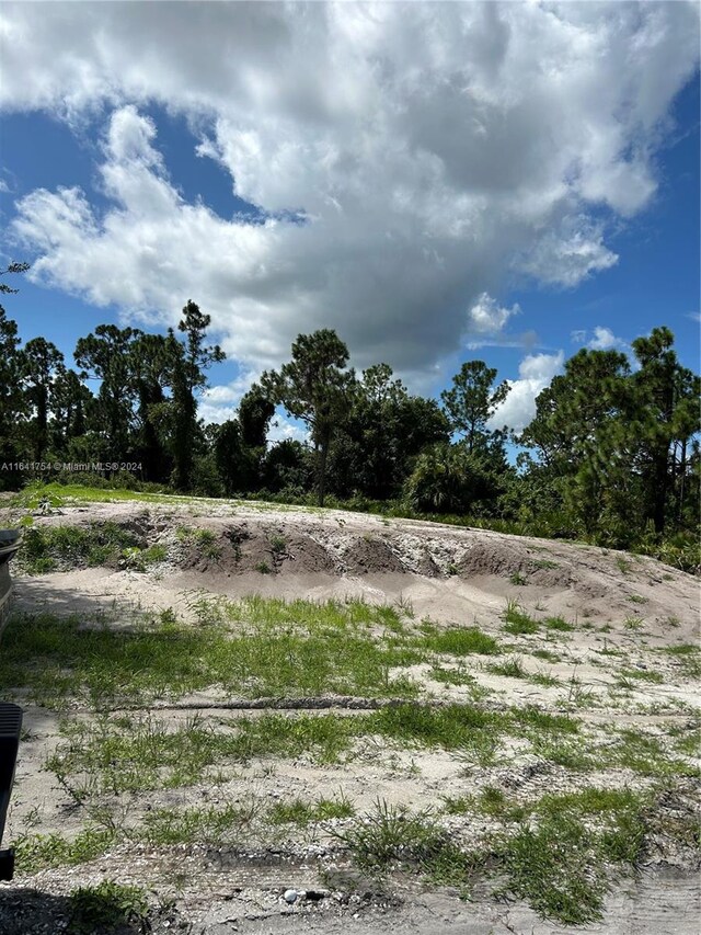 260 Grant Blvd, Lehigh Acres, FL 33974