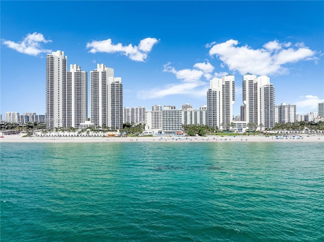 view of water feature with a view of city and a beach view