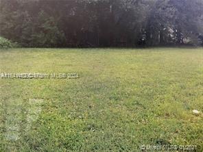 15015 NW 22nd Ave, Opa-Locka, FL 33054 - photo 5
