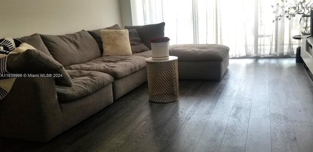 living area with dark wood-style flooring