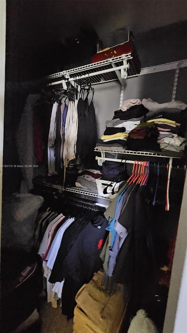 view of closet