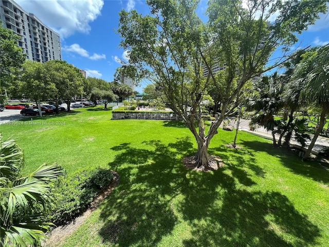 view of community with a lawn