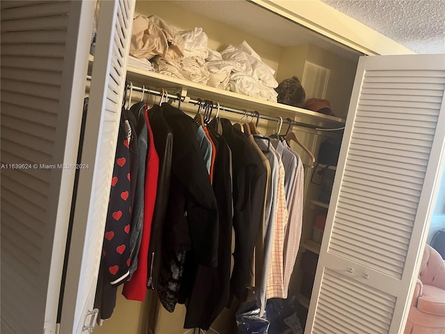 view of closet