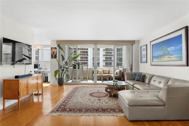 living room with hardwood / wood-style floors