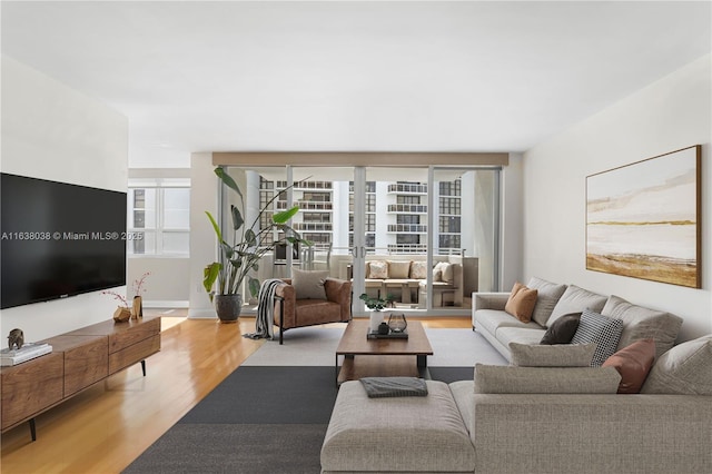 living room featuring light hardwood / wood-style floors