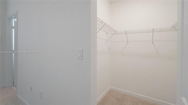 spacious closet with light colored carpet