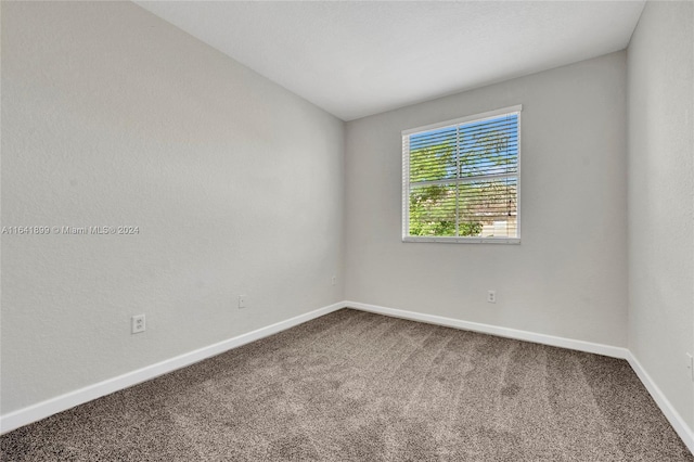 unfurnished room featuring carpet flooring