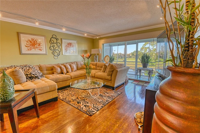 living room with a textured ceiling, ornamental molding, track lighting, and hardwood / wood-style floors