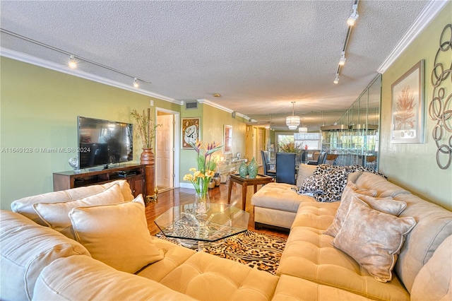 living room featuring track lighting, wood-type flooring, a textured ceiling, and ornamental molding