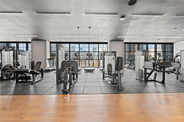 workout area with floor to ceiling windows and a healthy amount of sunlight