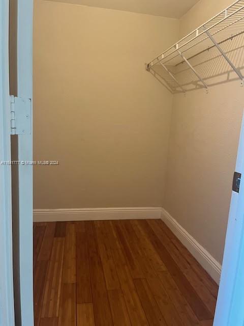 spacious closet with hardwood / wood-style floors