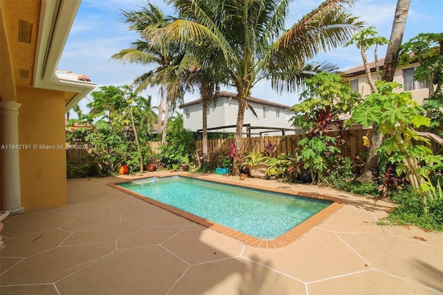 view of swimming pool with a patio