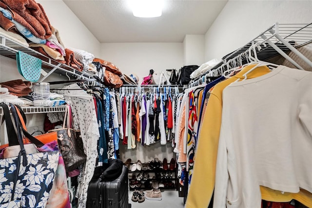 view of spacious closet